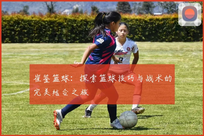 崔鉴篮球:探索篮球技巧与战术的完美结合之旅