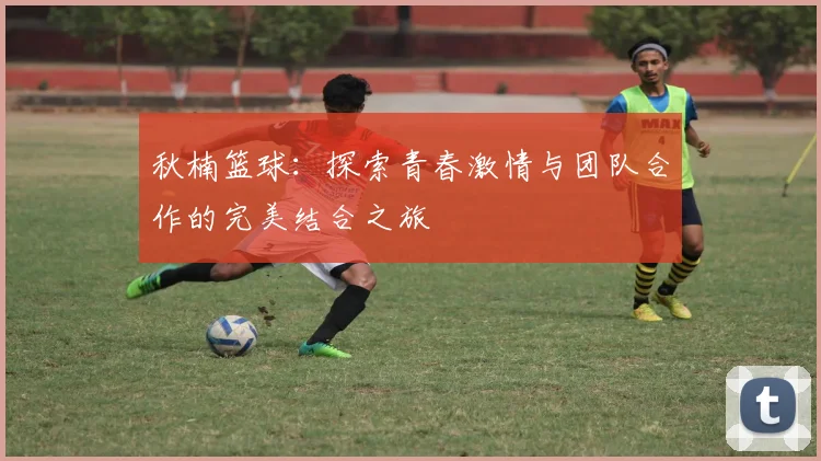 秋楠篮球:探索青春激情与团队合作的完美结合之旅